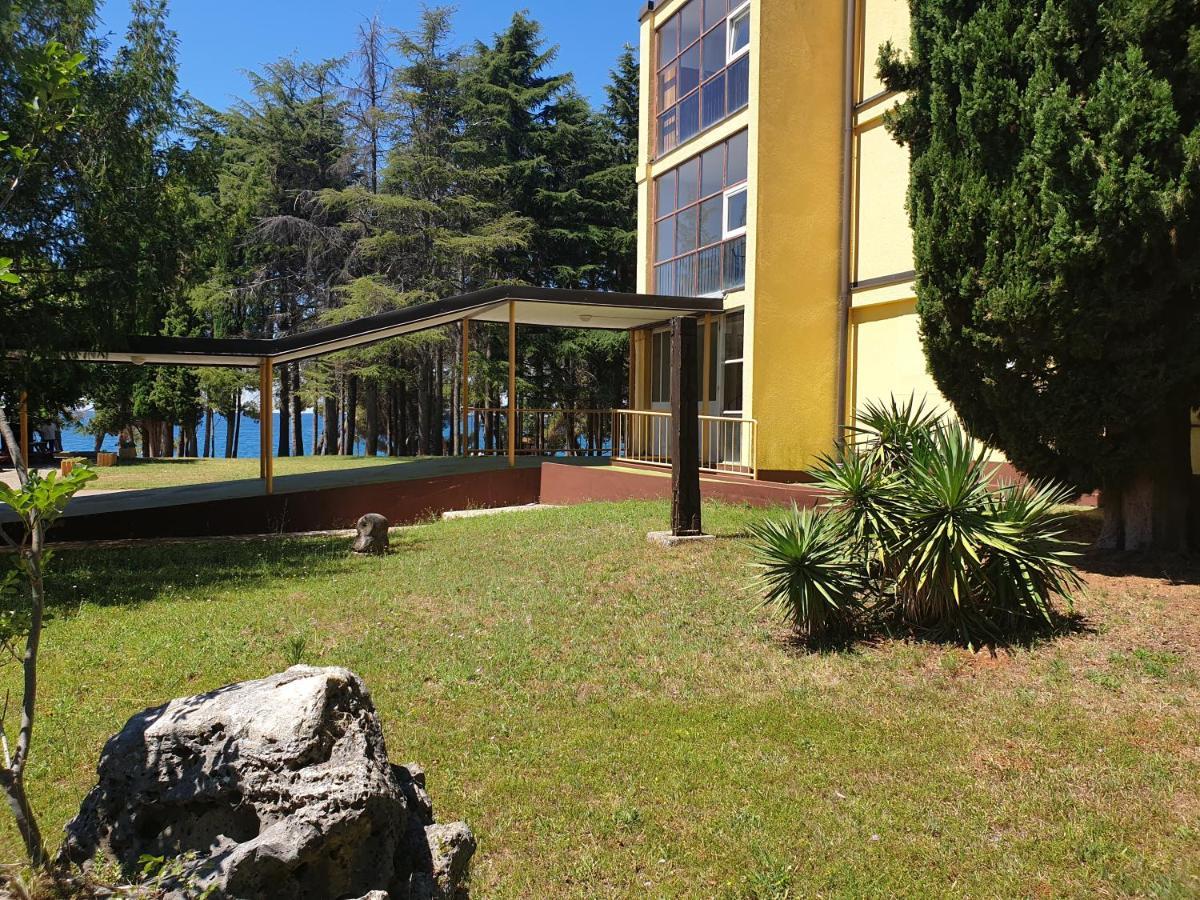 Youth Hostel Pinesta Novigrad Istria Εξωτερικό φωτογραφία