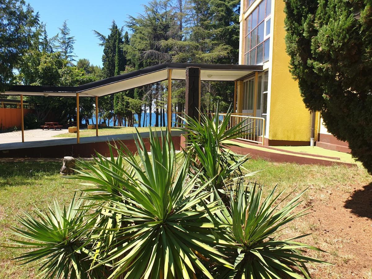 Youth Hostel Pinesta Novigrad Istria Εξωτερικό φωτογραφία