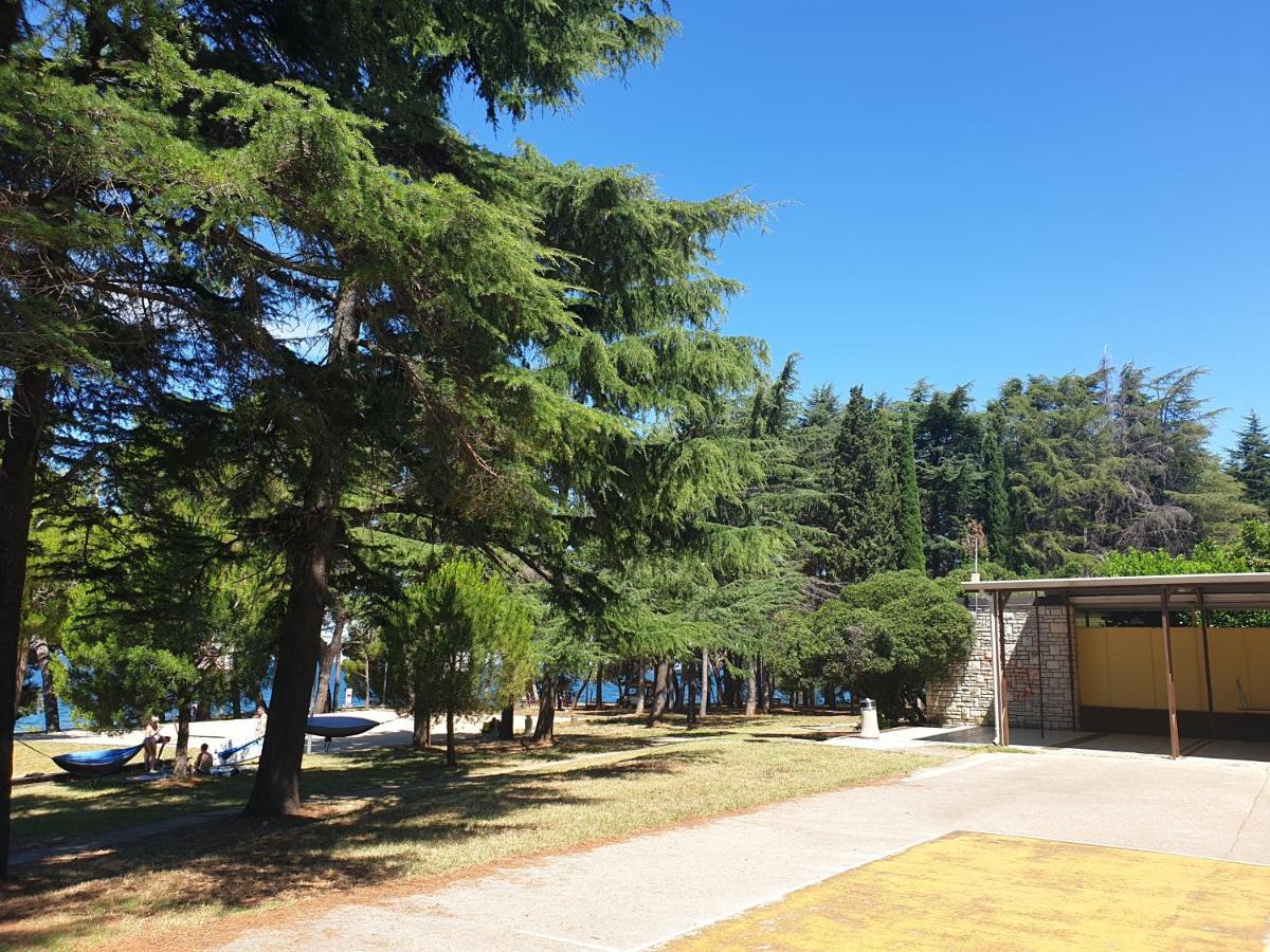 Youth Hostel Pinesta Novigrad Istria Εξωτερικό φωτογραφία